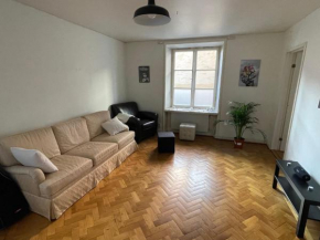 Apartment in Stockholm, 48m2 in Mariatorget Södermalm in Stockholm